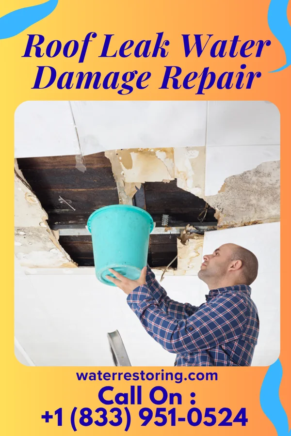 Roof Leak Water Damage Repair in Haleyville, AL
